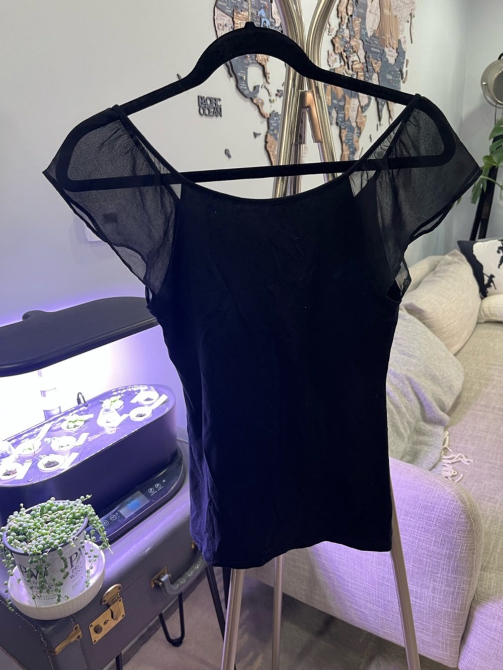 Express Super Soft Cotton and Modal Women's Black Sheer Cap-Sleeve